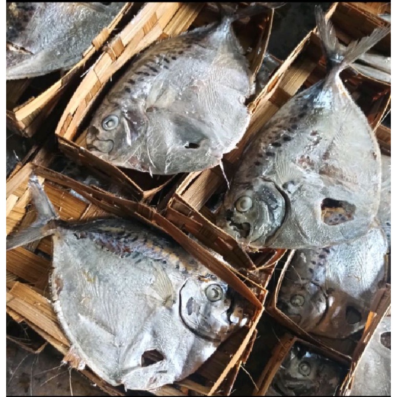 

ikan Cue etem satu pcs