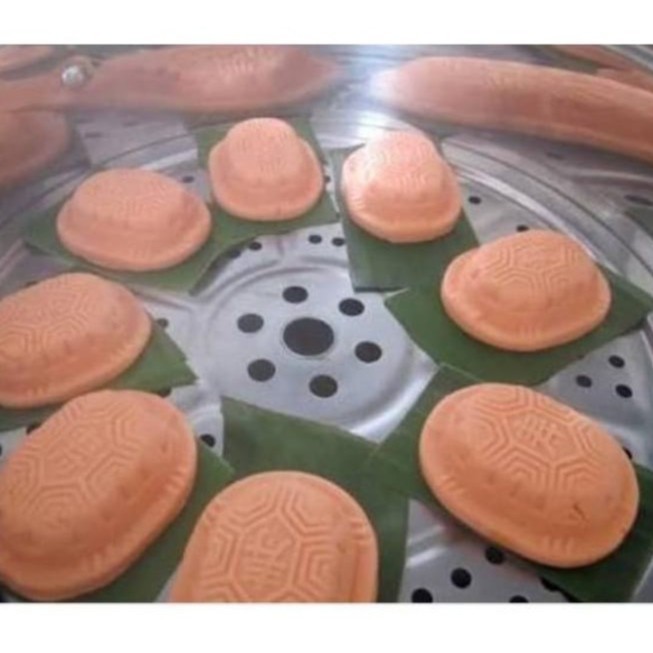 Cetakan kue qu / kura kura Bahan Plastik / 1pcs