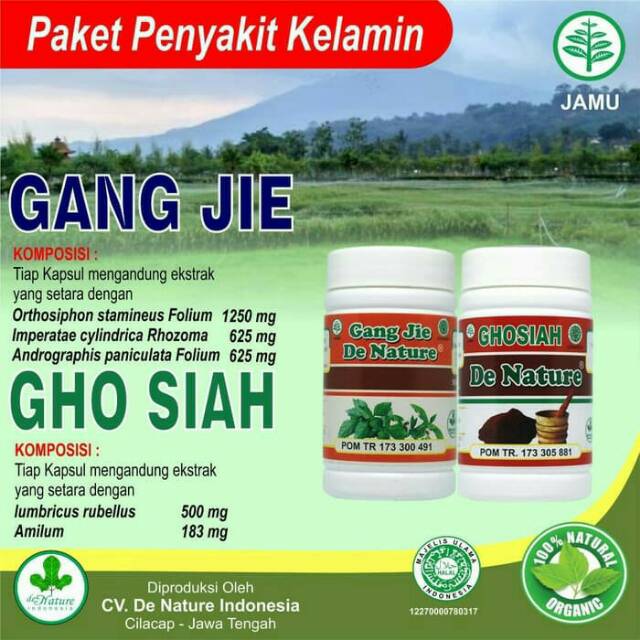PAKET AMPUH OBAT SIPILIS RAJA SINGA KENCING NANAH