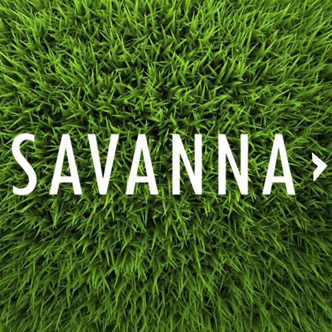 Produk Ready Rumput Gajah Mini / Rumput Jepang / Pupuk Rumput Savanna 100 Ml