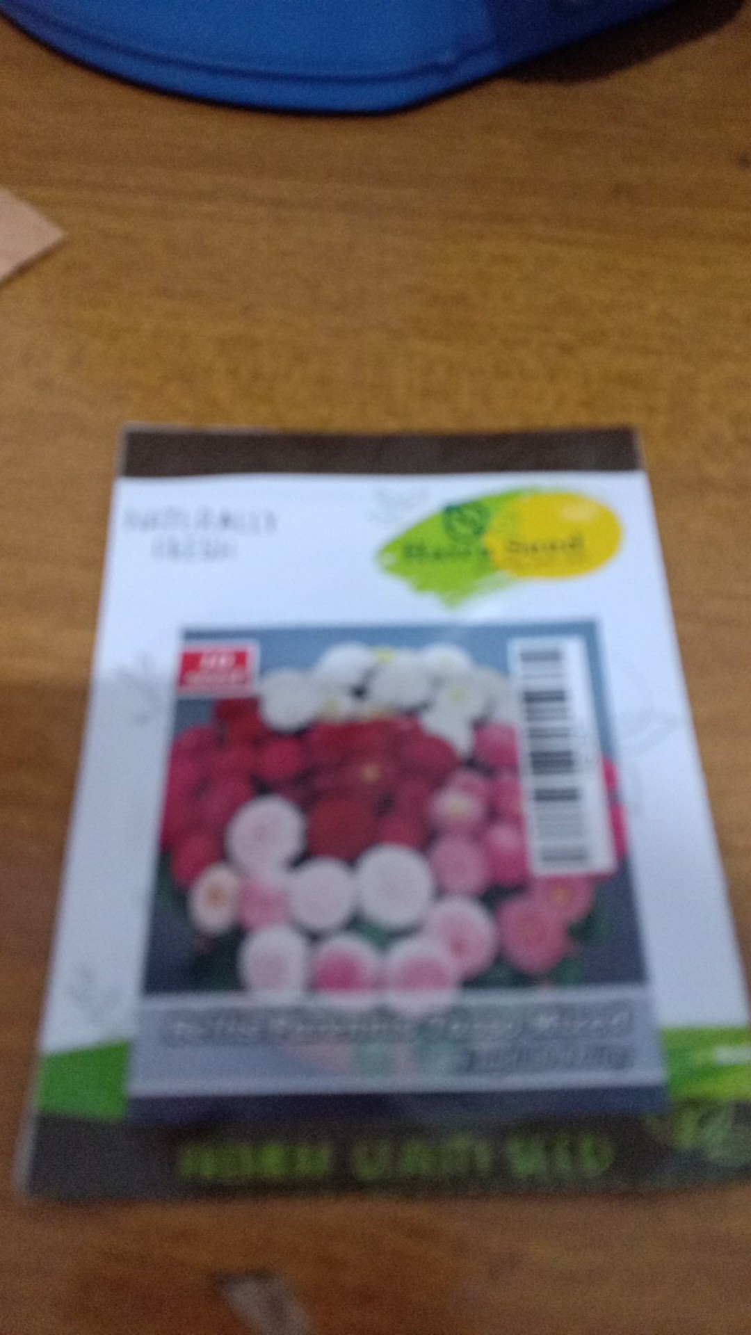 Benih Unggul Bunga Daisy Bellis Tasso Mix Haira Seed Bibit Cantik & Langka Viral 10 Biji