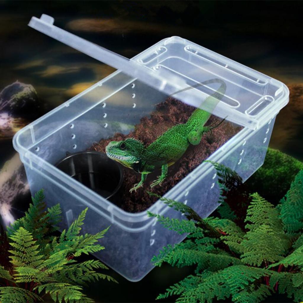 Kandang Tarantula Enclosure Tarantula Box Reptil Small 19x12.5x7.5cm Nomoy H3 Breeding Box