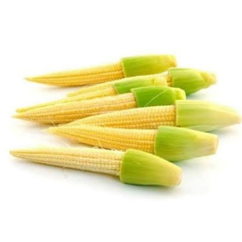 

[SAYUR EMAK] BABY CORN / JAGUNG MUDA / JAGUNG PUTREN / JANTEN 100 GRAM / SAYUR SEGAR