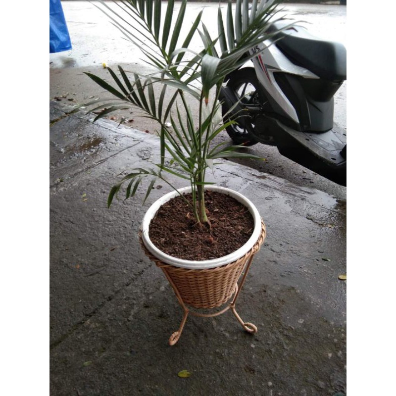 POT BUNGA Rotan sintetis kaki 4