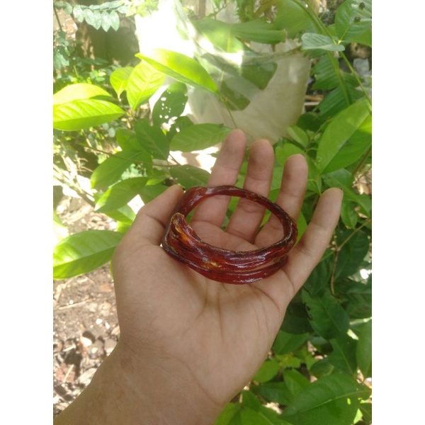 gelang akar bahar merah
