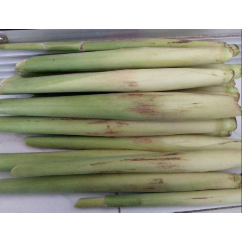 

Turubuk segar/sayur segar enak di makan 1kg