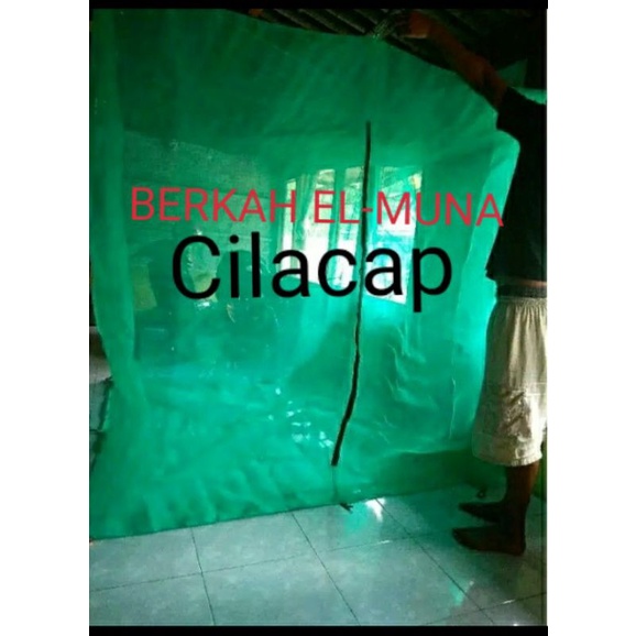 Kandang lalat bsf 2x2x2
