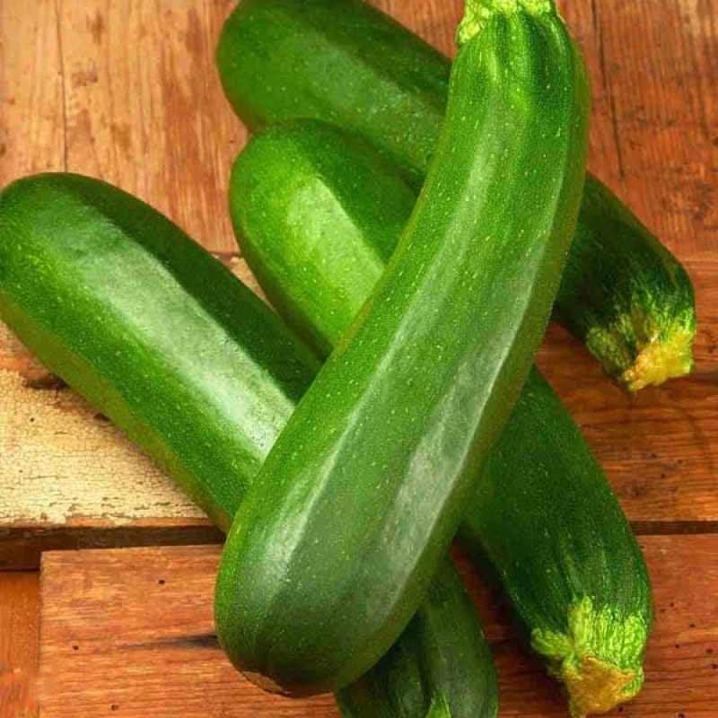

ZUCCHINI ORGANIK