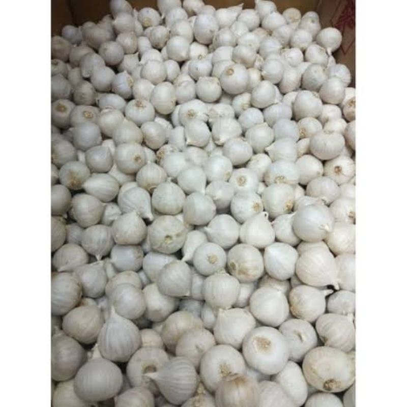 

Bawang Putih Tunggal 1kg
