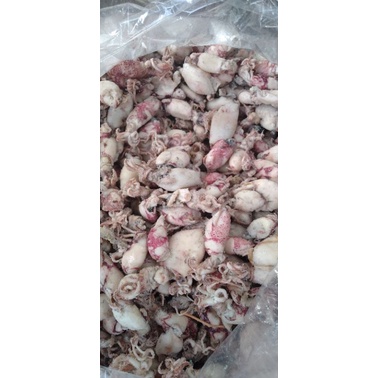 

Baby cumi non formalin 500grm