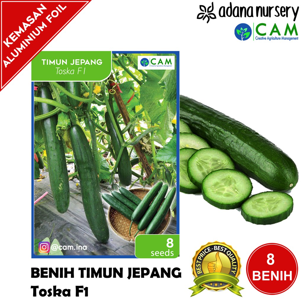 Benih / Biji Timun Jepang - Toska F1 - Berkualitas - Repack 8 Seeds