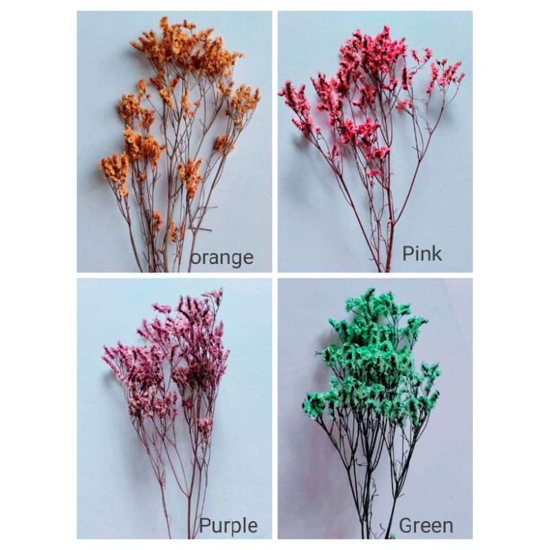 Dried Limonium/Dried Crystal Flower (pack kecil/ikat besar)