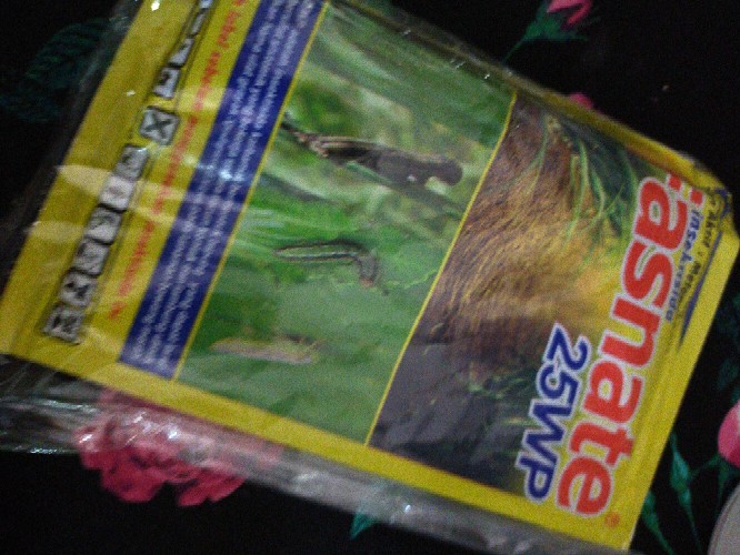 Obat Pertanian Membasmi Semut, Kutu Daun Dan Ulat 25wp