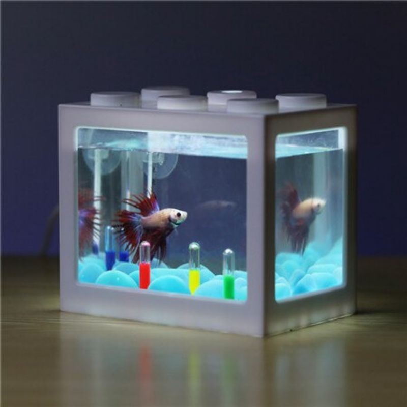 Aquarium mini cupang