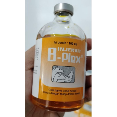 Jual B-Complex Injeksi 100 Ml | Shopee Indonesia