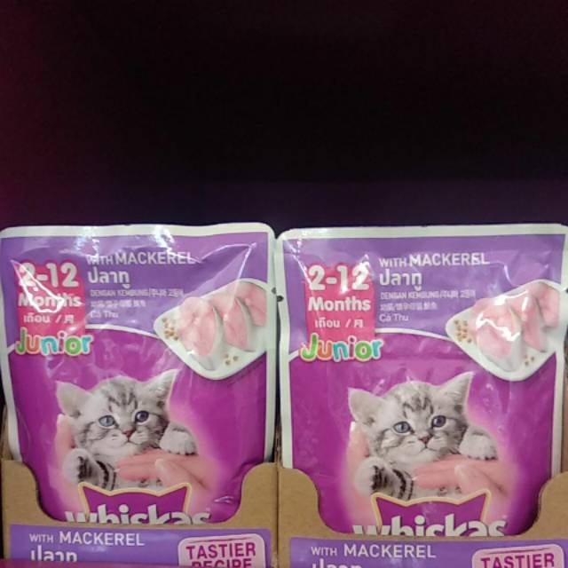 

Whiskas junior rasa mackerel 2-12 month