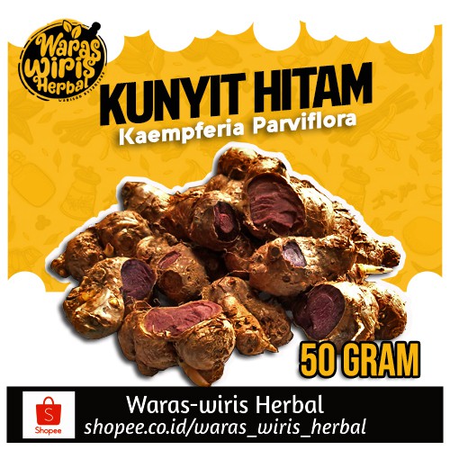 

Rimpang Kunyit Hitam 50 Gram ( Kaempferia Parviflora )