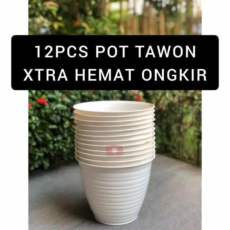 12 PCS POT BUNGA 20CM Tanaman Pirus Tawon Madu