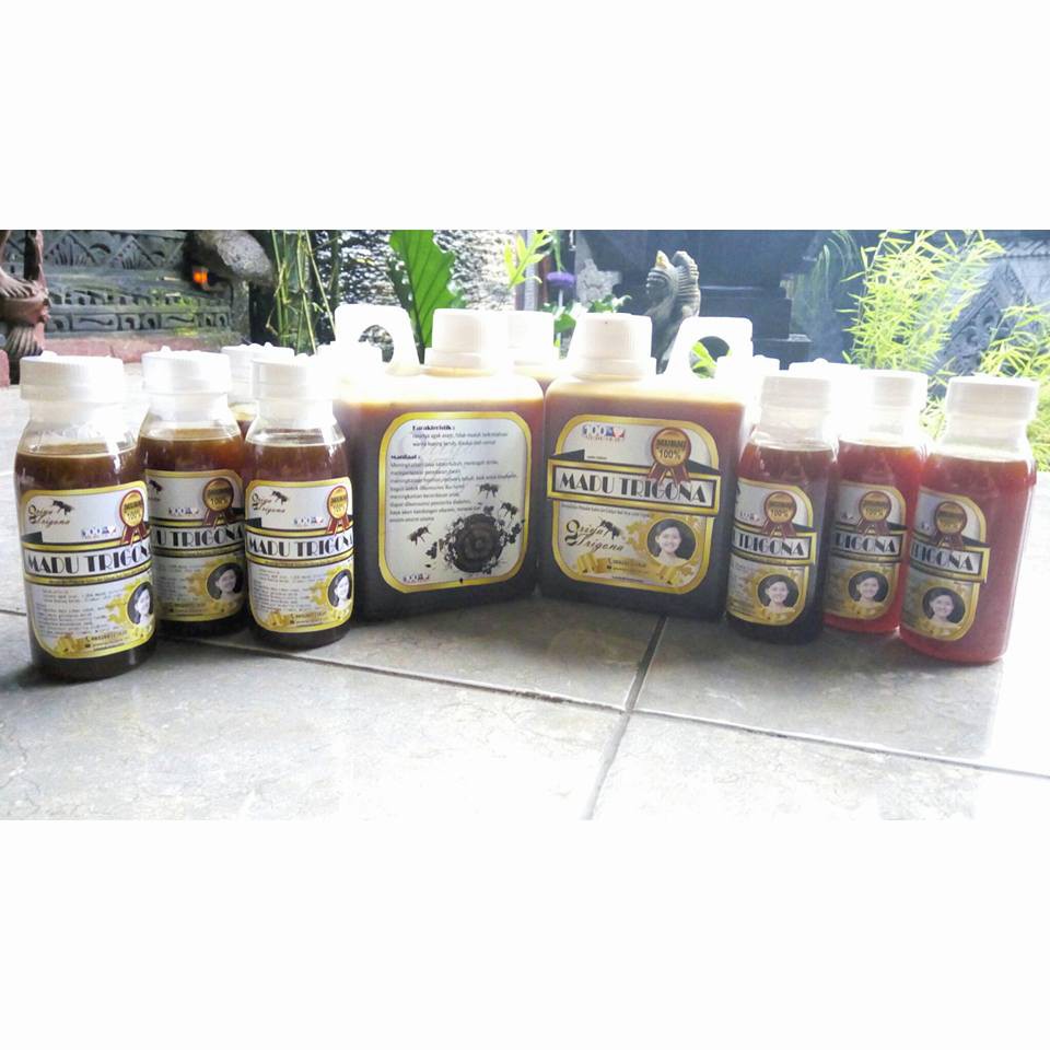 

Madu Trigona