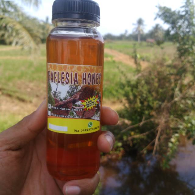 

Madu hutan asli