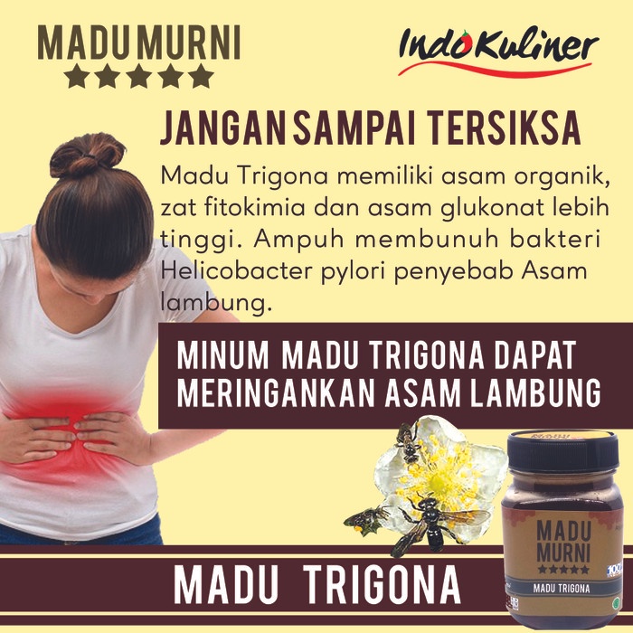 Madu Murni Trigona 275gr Extra Propolis Bee Polen By Indokuliner