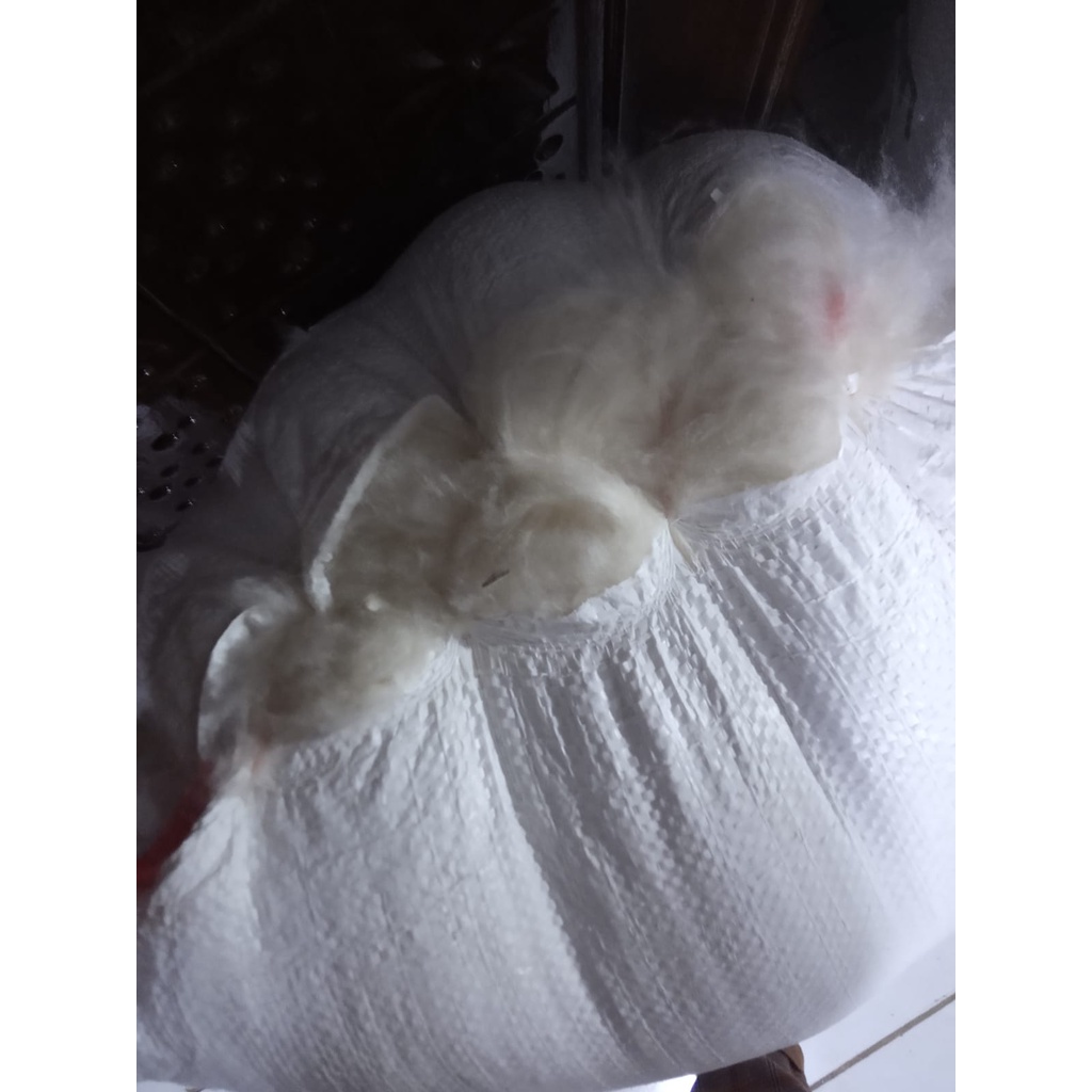 KAPUK RANDU/Kapuk Randu Kiloan Bersih Tanpa Biji/KAPUK RANDU KILOAN TANPA BIJI/KAPUK RANDU KILOAN MU