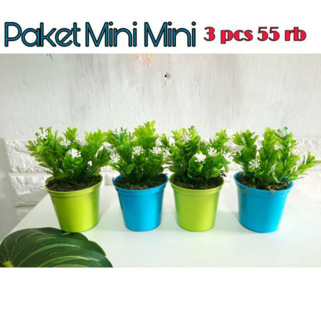 PAKET MINI MINI ASOKA [ Bunga + Vas ]