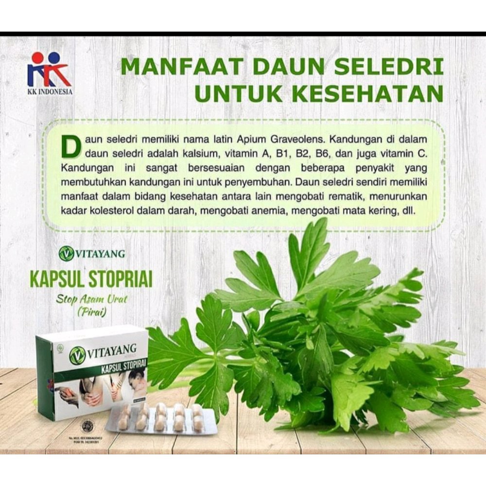 Suplemen Herbal Alami Vitayang Stopirai  Meredakan Gejala Mencegah Kekambuhan Asam Urat KK Indonesia