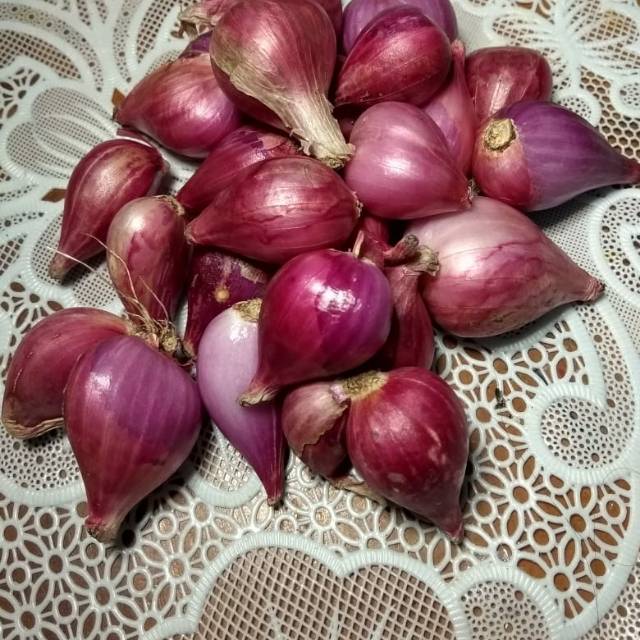 

Bawang merah asli brebes