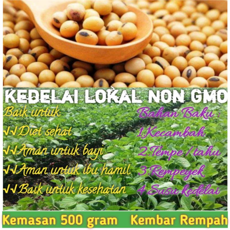 

Kedelai lokal putih 500 gram