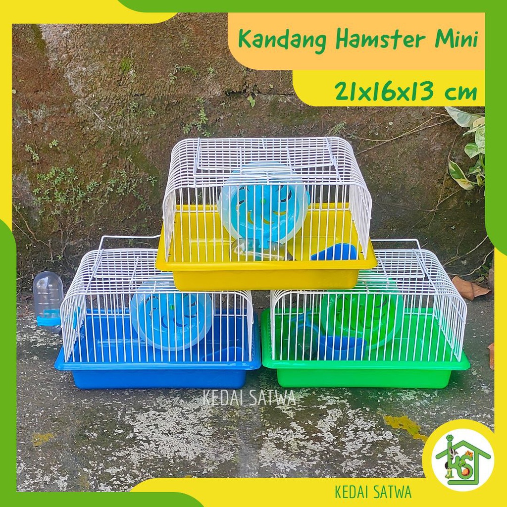 Kandang Hamster Mini Murah Lengkap Kandang Kecil