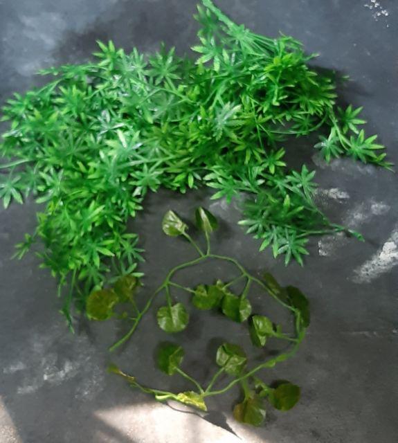 Satuan Rambat Kecil/daun Rambat Plastik/bunga Plastik/rumput Plastik/bunga Plastik/dekorasi Rumah