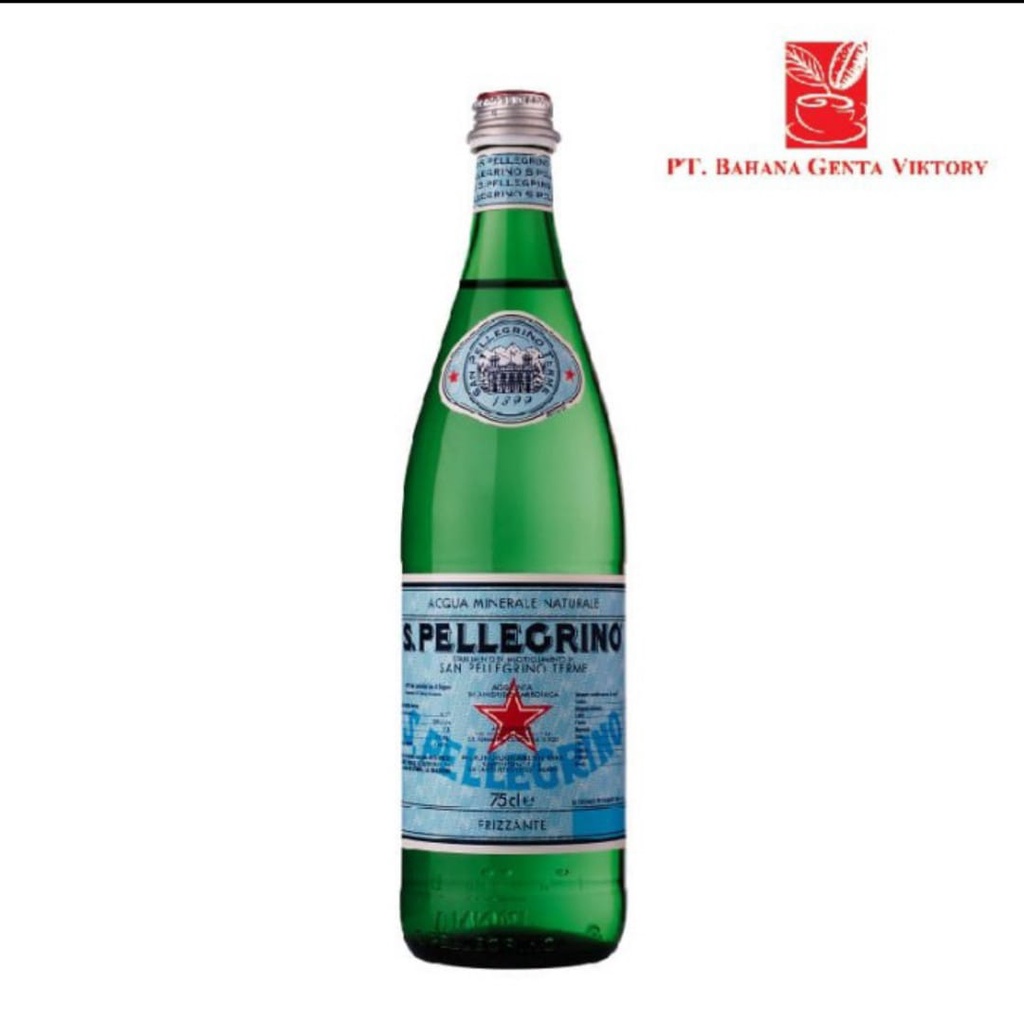 

Sanpellegrino Sparkling - Natural Mineral Water (750 ml)