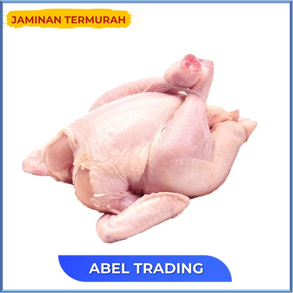 

Ayam Broiler Uk 08 09 Pcs 800 Gr