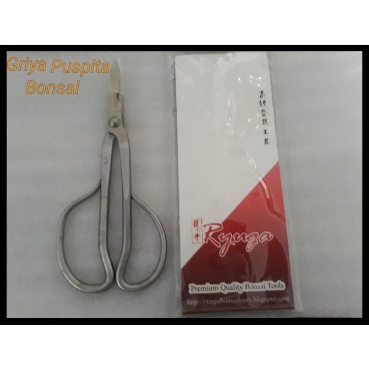 Coarcella - Gunting Ranting Besar