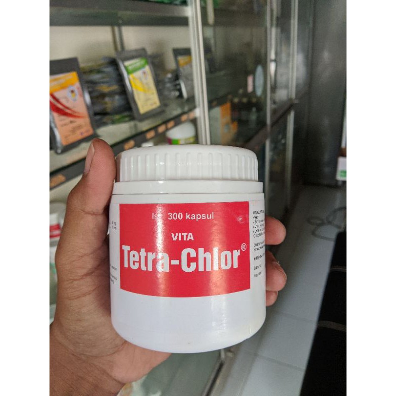 Tetra-Chlor kapsul isi 300 (untuk Corisa, CRD, Colera, pulorum)