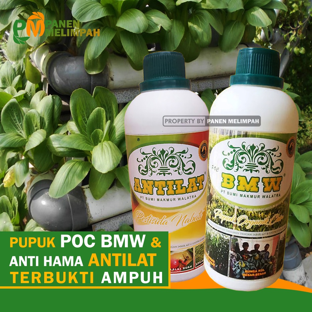 Pupuk Pestisida Organik Cair Racun Pembasmi Hama Obat Anti Hama Sawi &amp; Pupuk Organik Cair POC Penyubur Tanaman Pelebat Sawi POC BMW ANTILAT