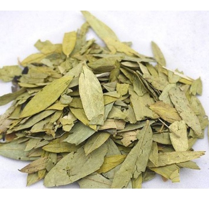 

Premium 1kg Daun Jati Cina Kering 1 kg