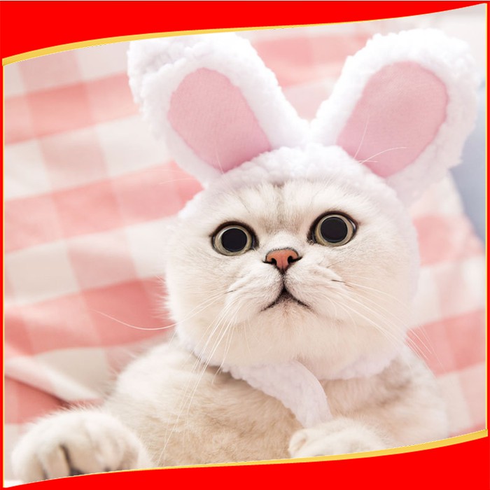Kostum Telinga Kelinci untuk Kucing Anjing Cat Dog Costum Bando Rabbit | TOPI KUCING ANJING