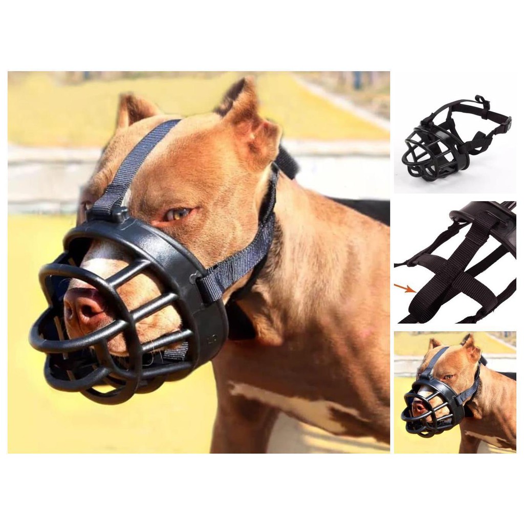 black dog muzzle