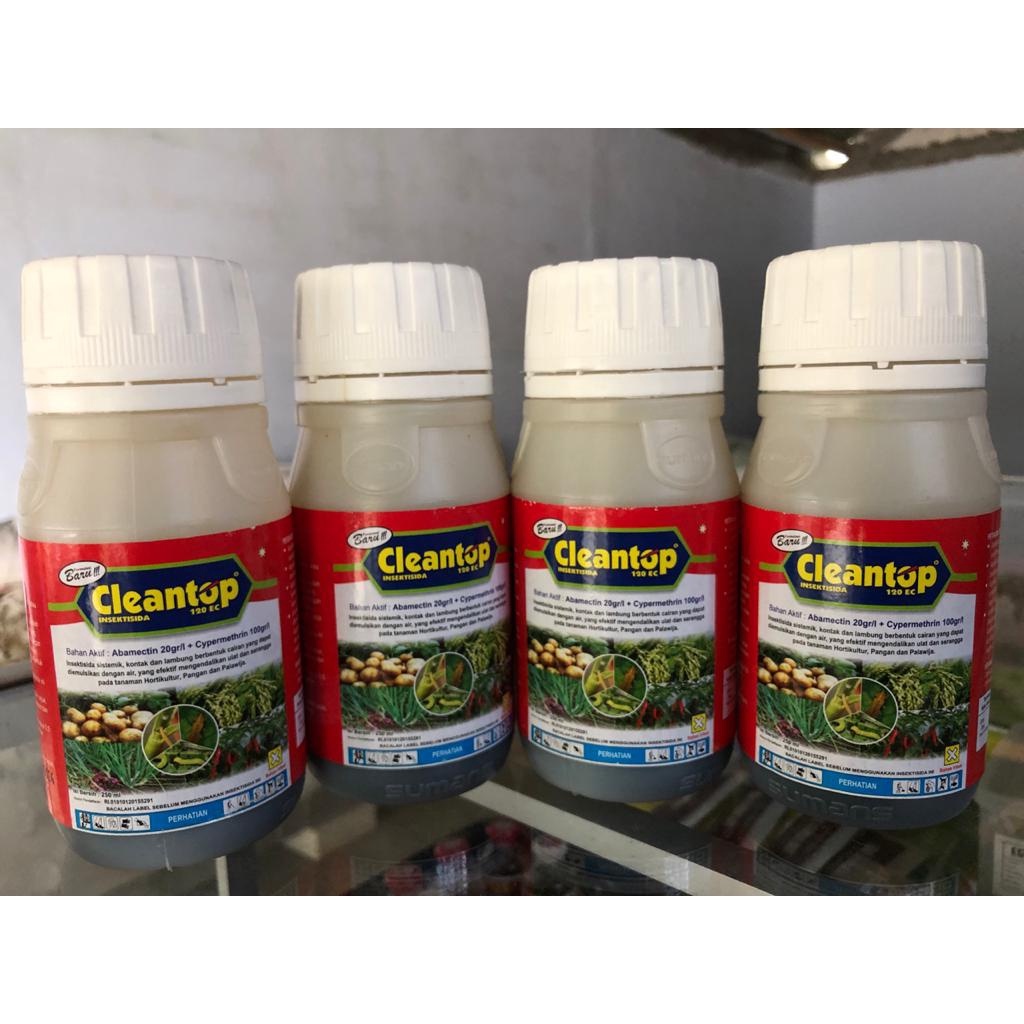 CLEANTOP 250ML INSEKTISIDA