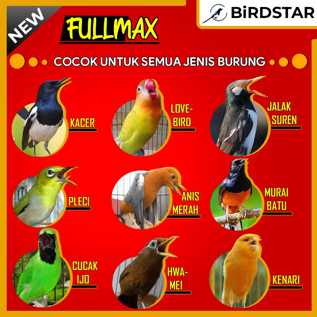 Promo Fullmax Vitamin Burung Suplemen Burung Lovebird Kenari Kacer Jalak Suren Murai Batu Kacer Shopee Indonesia