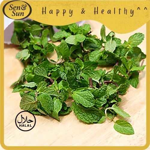 

Sen&Sun Daun Mint Organic 25 gr