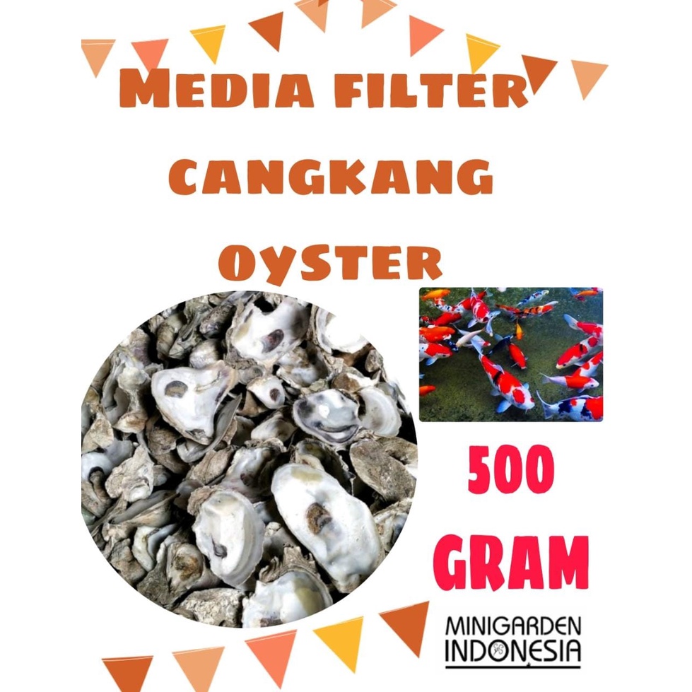 CANGKANG KERANG TIRAM ECER 500 GRAM media filter kolam ikan koi oyster shell penetral PH aquarium