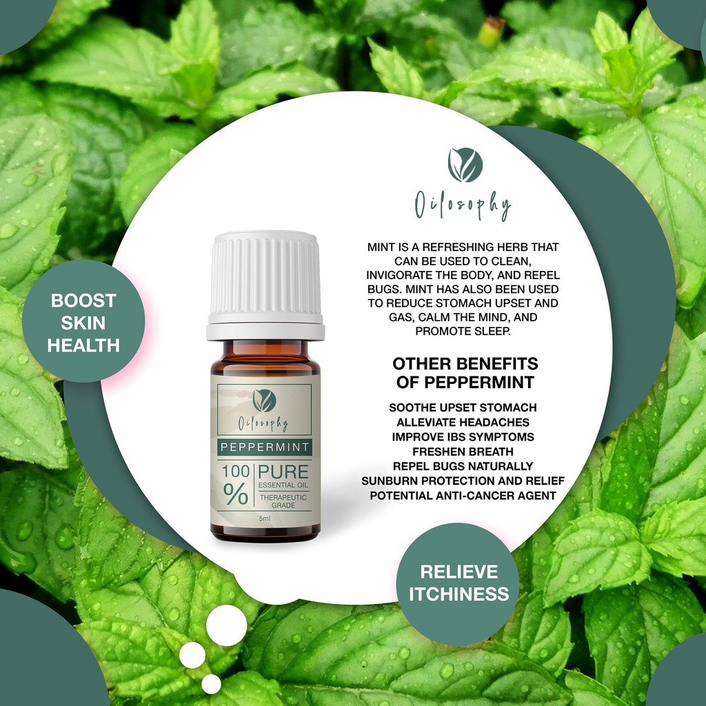 PEPPERMINT ESSENTIAL OIL |100% PURE ESSENTIAL OIL | THERAPEUTIC GRADE | 5Ml