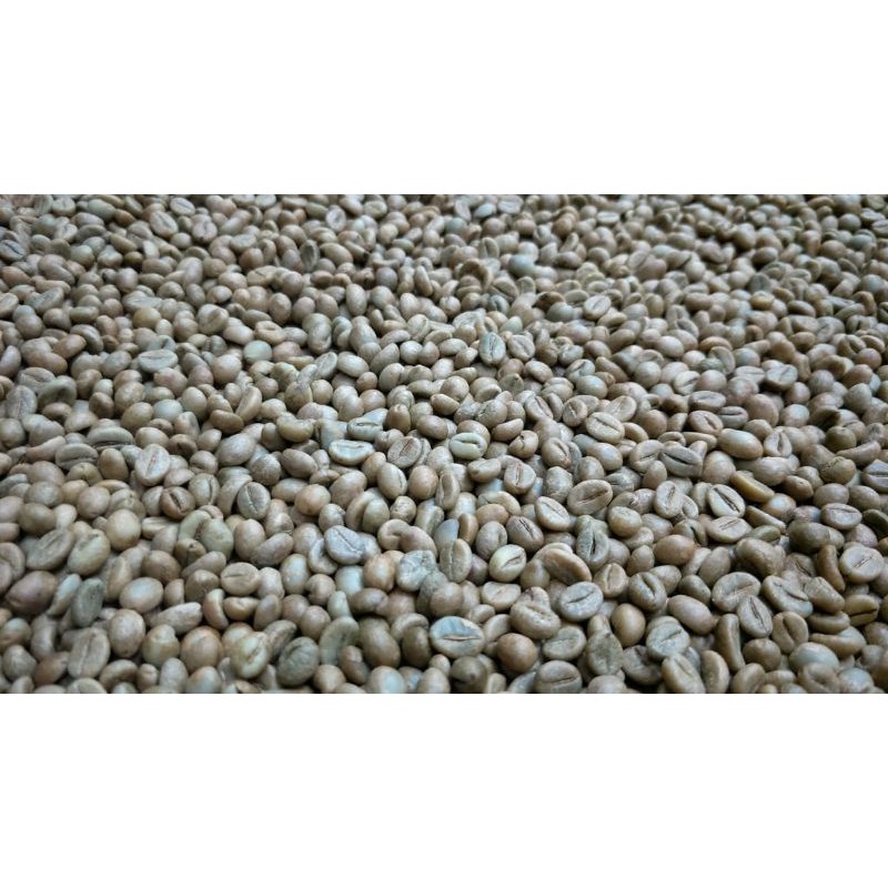 

beans robusta lampung (natural proces-petik merah)