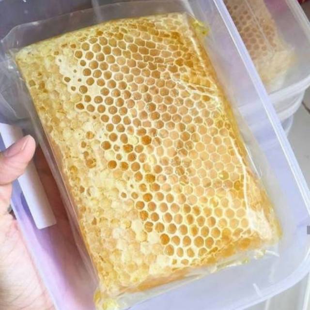 

Madu Sarang Asli Melifera Tulungagung