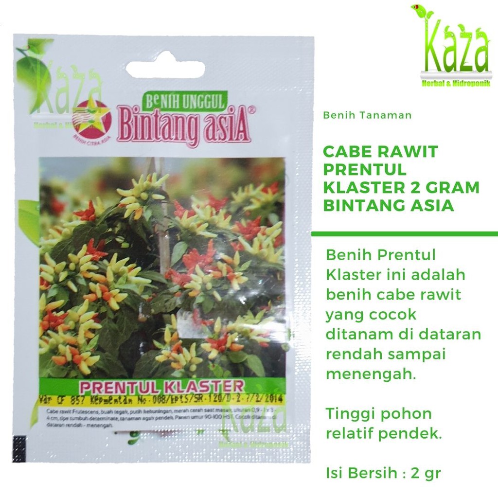 Benih Cabe Rawit Frutescens Prentul Klaster Isi 2 gram - Bintang Asia