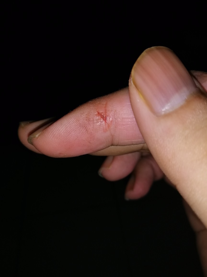 Zebra Chef Knife Smart 8 (100227) / Pisau Dapur