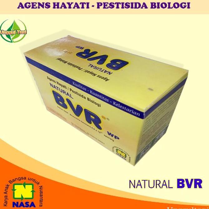 Termurah Natural Bvr Nasa  Obat Hama Wereng Walangsangit Padi